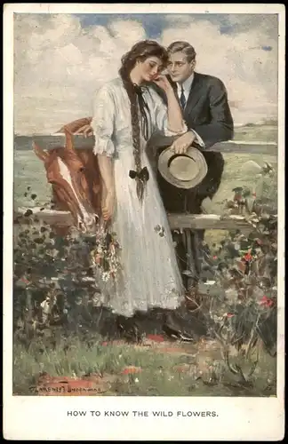 HOW TO KNOW THE WILD FLOWERS. Liebe Liebespaare - Love  Gemälde Kunstwerke 1913