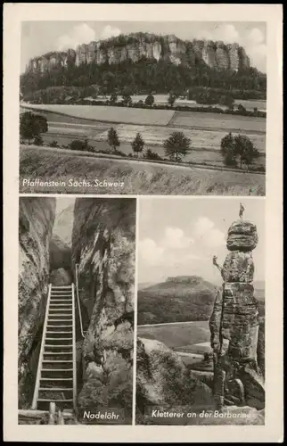Pfaffendorf-Königstein (Sächsische Schweiz)  Barbarine, Bergsteiger 3 Bild 1965