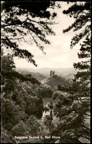 Ansichtskarte Bad Kösen Burg Saaleck 1961