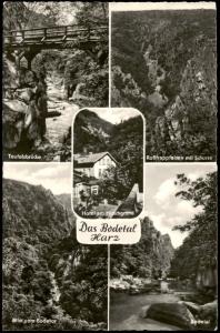 THALE Harz Sachsen-Anhalt um 1940 alte Postkarte Partie am Hotel Waldkater