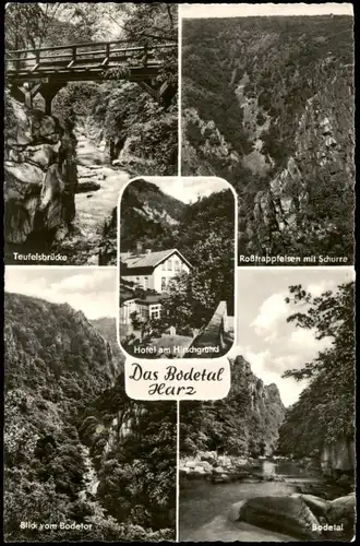 Ansichtskarte Thale (Harz) Hotel am Hirschgrund, Bodetor 1959