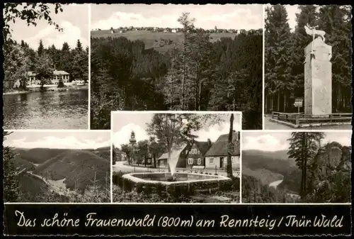 Ansichtskarte Frauenwald Stadt, Umland, Denkmal 1962