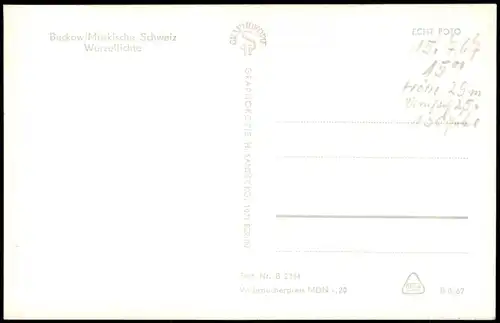 Ansichtskarte Buckow (Märkische Schweiz) Wurzelfichte, Bank Frauen 1967