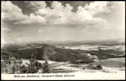 Ansichtskarte Saupsdorf-Sebnitz Blick vom Wachberg 1960