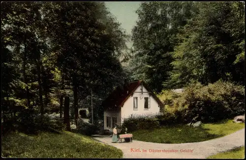 Ansichtskarte Düsternbrook-Kiel Im Düsternbrooker Gehölz 1913
