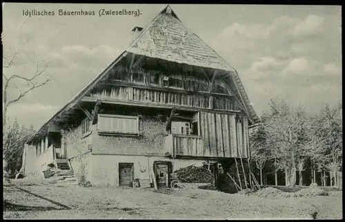 Ansichtskarte Zwieselberg-Freudenstadt Idyllisches Bauernhaus 1915