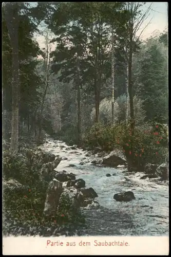 Ansichtskarte Klipphausen Partie im Saubachtal 1917