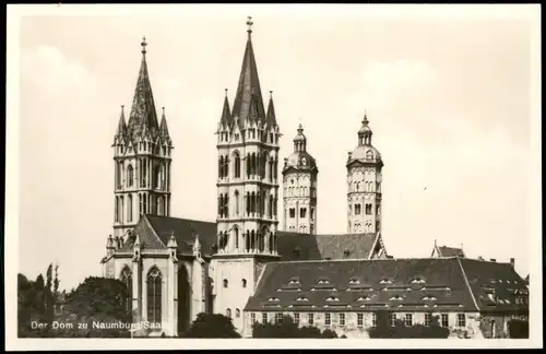 Naumburg (Saale) Naumburger Dom - St. Peter und Paul Fotokarte 1932