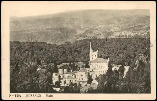 Postcard .Portugal Serra do Buçaco BUSSACO — Matta. 1928