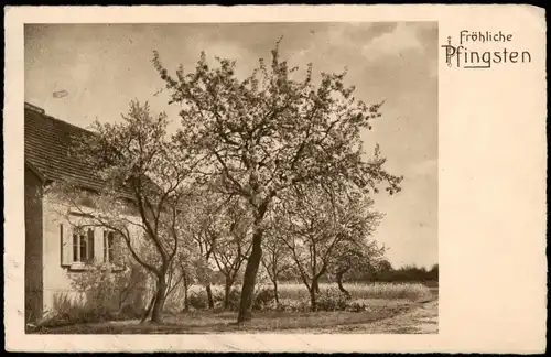 Ansichtskarte  Glückwunsch: Pfingsten Baum vor Haus 1938  gel. Stempel Breslau