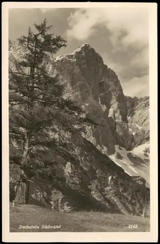 Ansichtskarte Ramsau am Dachstein Dachstein Südwand 1931