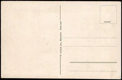 Ansichtskarte Wunstorf Steinhuder Meer. Der Wilhelmstein 1919