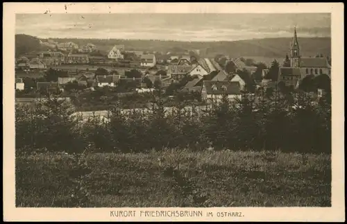 Ansichtskarte Friedrichsbrunn Partie an der Stadt 1919