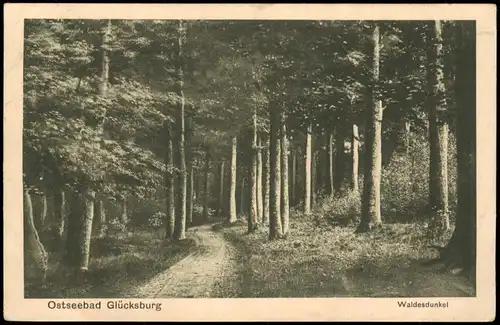 Ansichtskarte Glücksburg (Ostsee) Lyksborg Waldesdunkel 1918