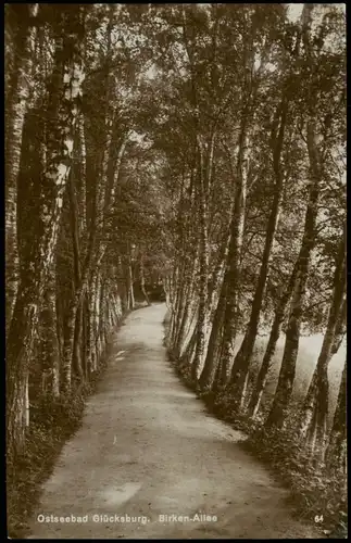 Ansichtskarte Glücksburg (Ostsee) Lyksborg Birken-Allee, Fotokarte 1928