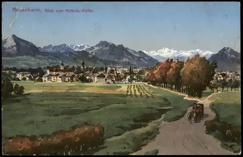 Ansichtskarte Rosenheim Blick vom Hofbräu-Keller. 1913