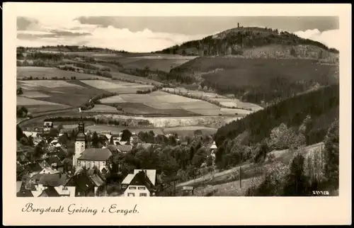 Ansichtskarte Geising-Altenberg (Erzgebirge) Panorama 1956