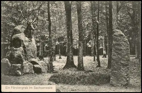 Sachsenwald-Hofriede-Aumühle Ein Förstergrab im Sachsenwald 1926
