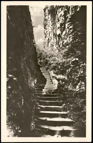 Ansichtskarte Jonsdorf Nonnenfelsentreppe, Fotokarte 1953
