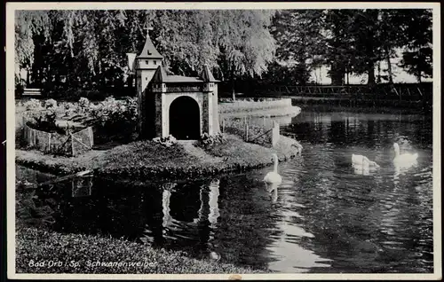 Ansichtskarte Bad Orb Schwanenweiher, Burg 1937