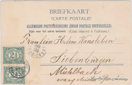 Postkaart Bloemendaal Tulpenfeld 1912