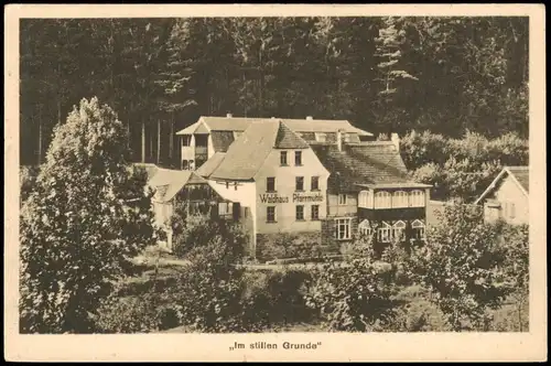 Eisenberg (Thüringen) Waldhaus Pfarrmühle „Im stillen Grunde" 1928