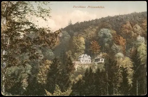 Ansichtskarte Hartenstein (Sachsen) Forsthaus Prinzenhöhle 1925
