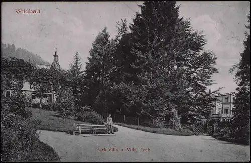 Ansichtskarte Bad Wildbad Straßenpartie 1914