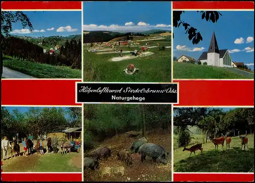 Siedelsbrunn-Wald-Michelbach Mehrbild: Minigolf, Naturgehege 1989