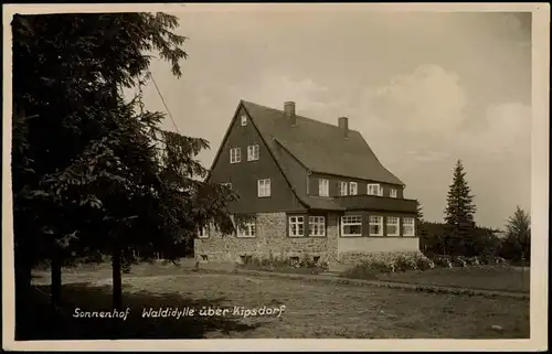Ansichtskarte Kipsdorf-Altenberg (Erzgebirge) Sonnenhof Waldidylle 1932
