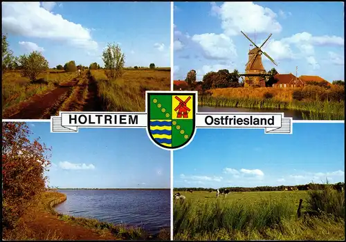 Ansichtskarte Holtriem Ostfriesland Typische Landschaft Windmühle 4 Bild 1987