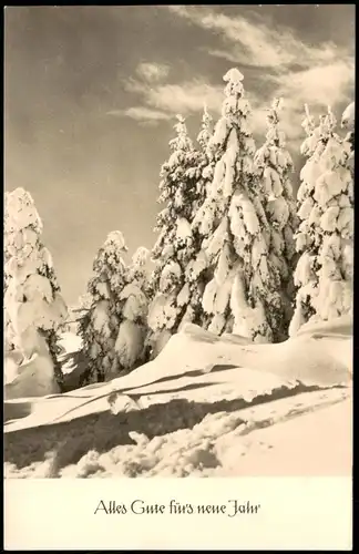 Ansichtskarte  Neujahr Sylvester New Year Winterwald 1967