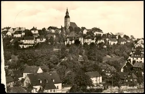Ansichtskarte Schneeberg (Erzgebirge) Stadt 1956