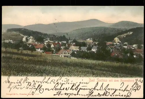 Ansichtskarte Bad Sachsa Stadt mit dem Rauensberg 1905
