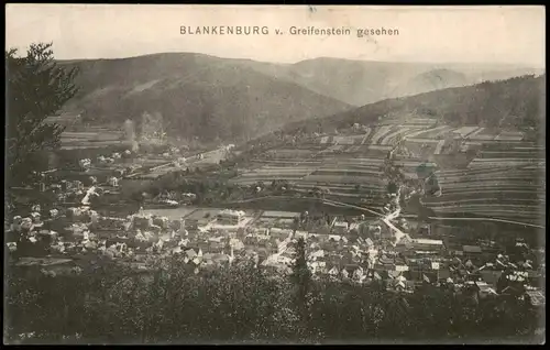 Ansichtskarte Bad Blankenburg v. Greifenstein gesehen 1908