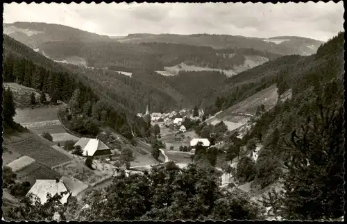 Ansichtskarte Triberg im Schwarzwald Das Nußbachtal 1956