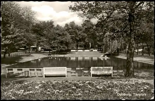 Ansichtskarte Duisburg Tierpark Zoo 1971