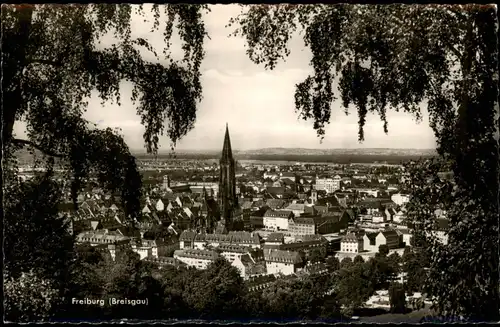 Ansichtskarte Freiburg im Breisgau Totale 1968