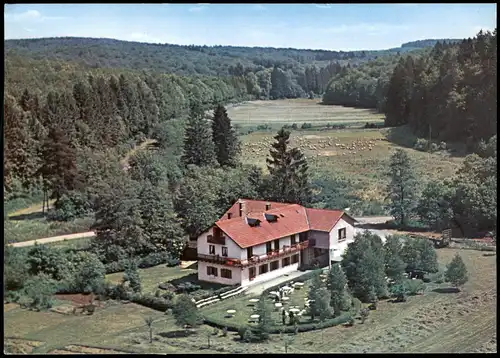 Ansichtskarte Laubach (Hessen) Luftbild Hotel und Pension Waldhaus 1966