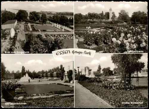 Ansichtskarte Essen (Ruhr) 4 Bild Grugapark 1963