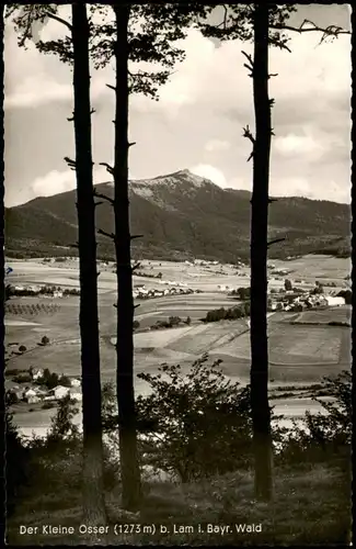 Ansichtskarte Lam (Oberpfalz) Der Kleine Osser 1963/1961