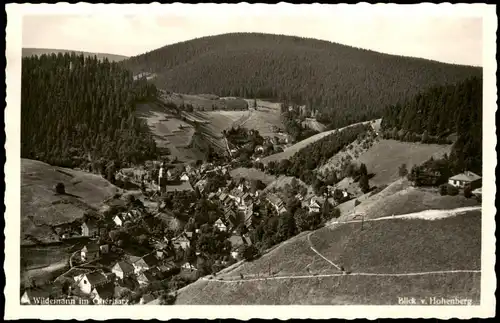 Ansichtskarte Wildemann (Innerstetal) Blick vom Hohenberg 1960