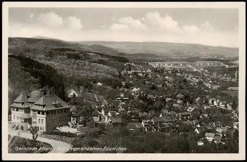 Ansichtskarte Gernrode-Quedlinburg Harz Blick vom einzelnen Bäumchen 1940