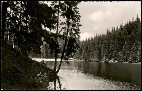 Hahnenklee-Bockswiese-Goslar Grumbacher Teich 1955  gel. Notopfer Berlin