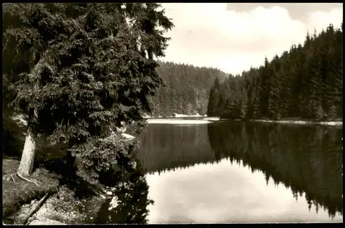 Ansichtskarte Hahnenklee-Bockswiese-Goslar Auerhahn - Am Grumbacher Teich 1961