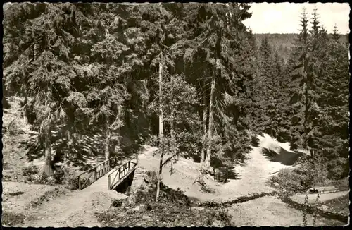Ansichtskarte Hahnenklee-Bockswiese-Goslar Waldpartie - Brücke 1959