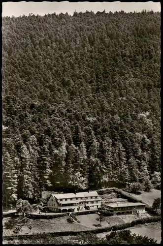 Ansichtskarte Bad Herrenalb Aschenhütte (511 m ü. M.) 1956