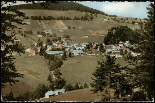 Ansichtskarte Todtnauberg Stadtblick - Colotfoto AK 1968