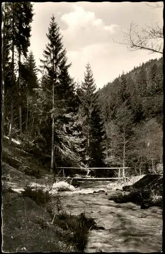 Ansichtskarte Wirsberg (Oberfranken) Waldpartie - Brücke 1956