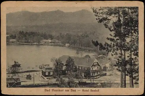 Postcard Hammer am See Hamr na Jezeře Hotel Seehof 1925